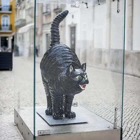 Apartamento The Black Kitten